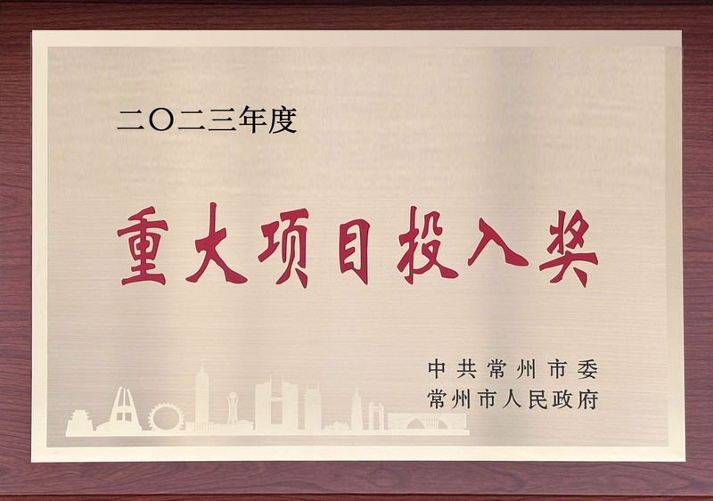 重大项目投入奖